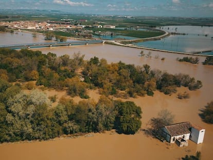 La crecida del río Ebro, en imágenes
