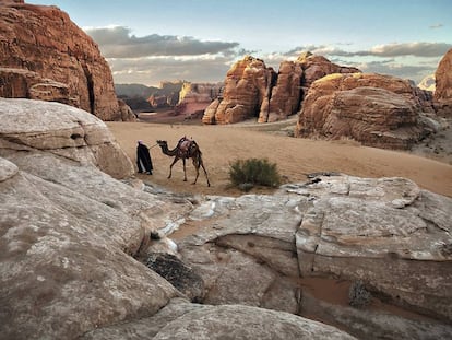 La relación especial de humanos y animales, retratada por Steve McCurry