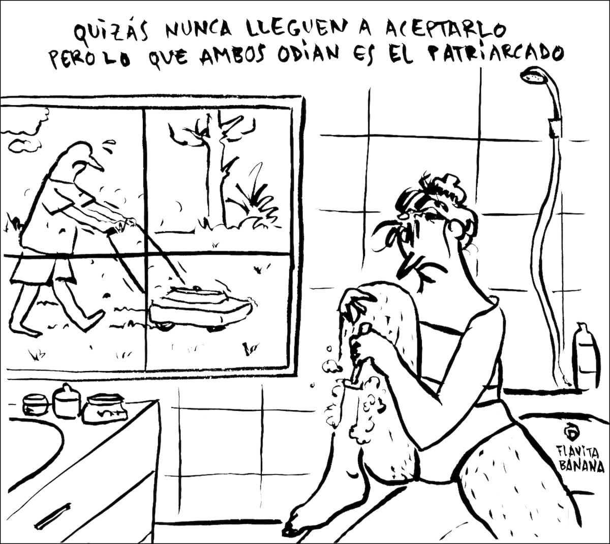 imagem