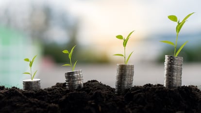 A pile of coins with a treetop on top of the financial business growth idea