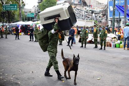 Un miembro del Plan Mexicano para Ayudar a los Desastres Civiles junto a un perro de rescate participa en la búsqueda de sobrevivientes en la Ciudad de México el 21 de septiembre de 2017.