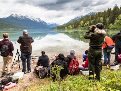 BioBlitz, un evento donde se colabora con científicos para hallar e identificar tantas especies como sea posible en una zona designada durante un tiempo determinado.