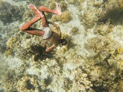 Pescador de ostras se sumerge hacia el fondo marino. Los bajao son buceadores natos, capaces de sumergirse a 30 metros y bucear hasta 5 minutos.