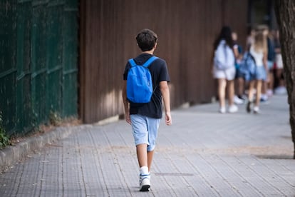 Compañeros de colegio