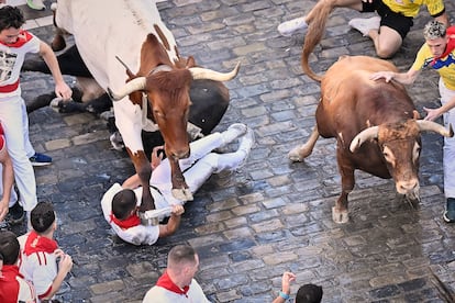 Beim Bullenlauf an diesem Mittwoch wird ein Bullenhalfter über einen Läufer geführt.