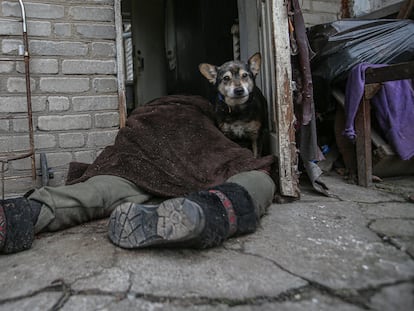 Un perro junto al cadáver de una mujer asesinada en Bucha.