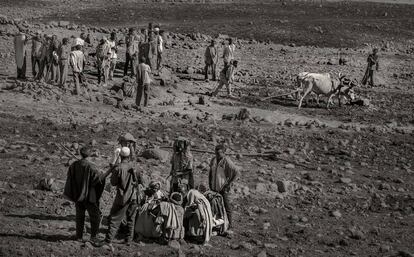 Los agricultores han perdido hasta un 90% de las cosechas debido a la sequía.