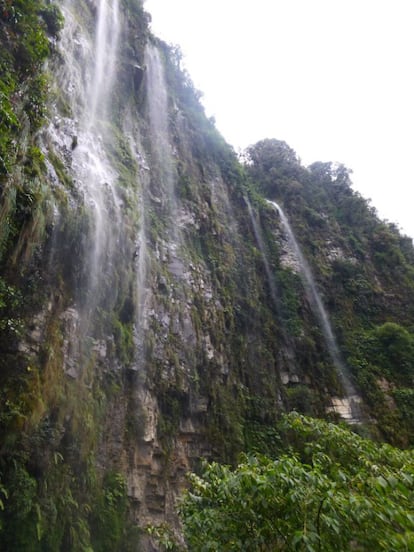 Cascadas y paisaje selvático durante el descenso por el camino de Yungas, en Bolivia.