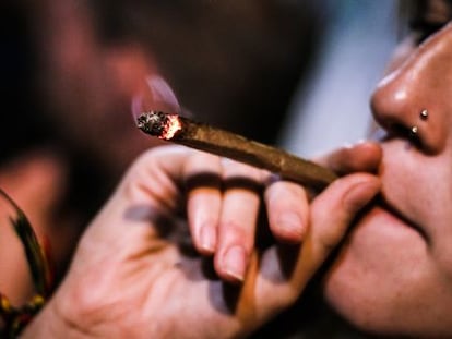 El consumo recreativo de marihuana ha crecido m&aacute;s que el de cualquier otra droga ilegal durante las &uacute;ltimas dos d&eacute;cadas