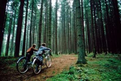 Dos jóvenes ciclistas en los bosques de la Selva Negra, en el suroeste de Alemania.