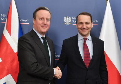 Radoslaw Sikorski and David Cameron