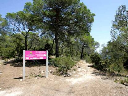 Zona en la que se encontraron los cadáveres de una pareja en Ibiza.