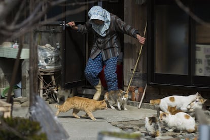 Una mujer ahuyenta los gatos de la puerta de su casa en la isla de Aoshima.