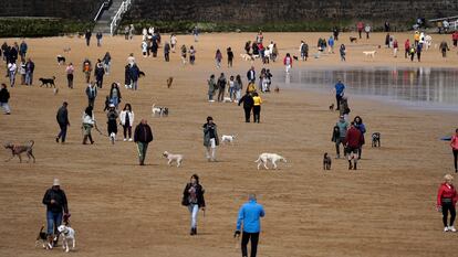 Decenas de personas pasean con sus perros en la playa de San Lorenzo de Gijón, este domingo.