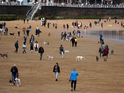 Decenas de personas pasean con sus perros en la playa de San Lorenzo de Gijón, este domingo.