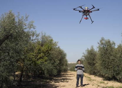 Un técnico controla un dron en una explotación de Primor en Sevilla.