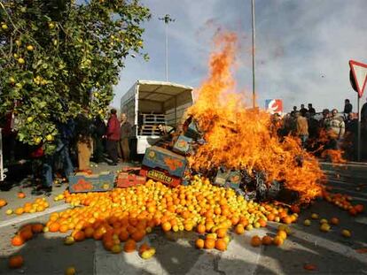 Protesta en Orihuela por el conflicto citrícola