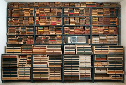 La 'Biblioteca del bosque' con la que acaba la muestra 'La ilusión del Lejano Oeste', una creación del comisario de esta exposición, Miguel Ángel Blanco.