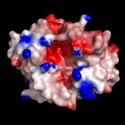 Zona de la proteína PA en el virus gripal.