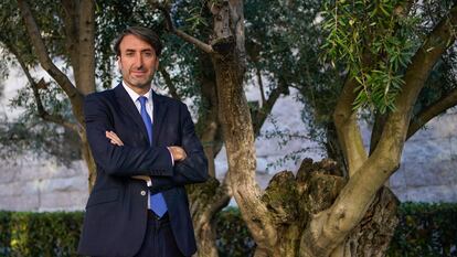 Jaime Lillo, presidente del Consejo Oleico Internacional, posa delante de un olivo en Madrid.