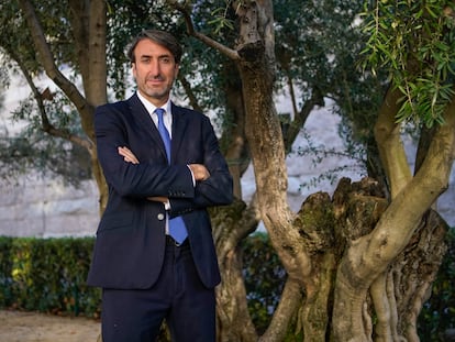 Jaime Lillo, presidente del Consejo Oleico Internacional, posa delante de un olivo en Madrid.