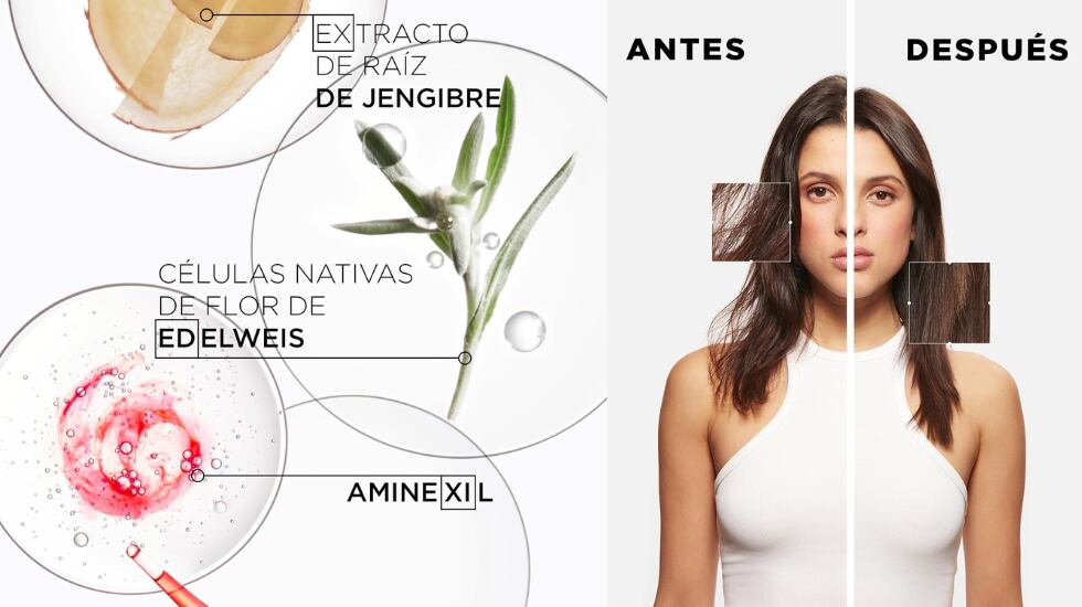 Enriquecido con raíz de jengibre, cafeína y arginina para fortalecer el cabello desde la raíz.