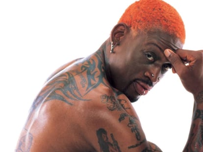 Dennis Rodman, en una imagen de una campaña de la organización Gente por el Trato Ético a los Animales (PETA, según sus siglas en inglés) en 2008.