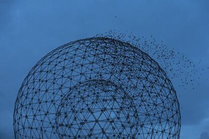 Estorninos alrededor de la escultura Rise también conocida como "The Balls on the Falls" en Belfast, Irlanda del Norte.