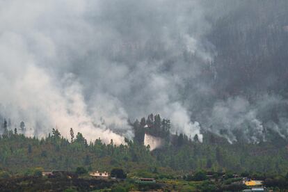 Un helicóptero participa en el incendio en la zona de Los Realejos, este domingo.