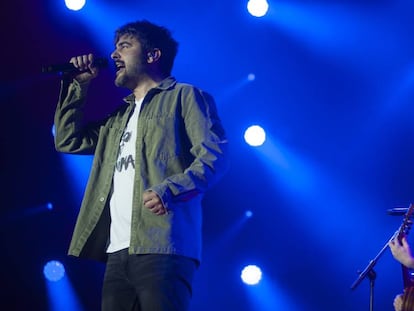 Los hermanos David y José Muñoz, componentes de Estopa, durante un concierto en el Palau Sant Jordi de Barcelona.