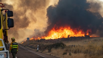 Desalojados 11 pueblos de Zamora tras un incendio en los Arribes del Duero