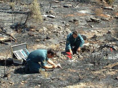 Miembros del Seprona (Guardia Civil) analizando un incendio para averiguar el origen y las causas del mismo.