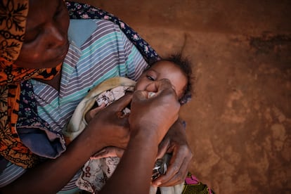 Una madre sostiene a su hijo mientras es vacunado contra la poliomielitis en el campo de refugiados de Dzaleka. 

Este virus, que se transmite de persona a persona por la vía fecal-oral (ingestión de alimentos o agua contaminados) y guarda una estrecha relación con las malas condiciones higiénicas y de saneamiento del entorno, puede entrar al sistema nervioso central, infectar la médula espinal, producir parálisis y atrofia muscular, e incluso ser mortal.