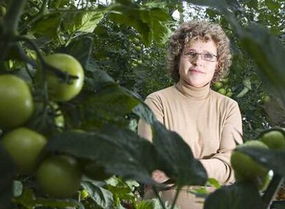 Lola Gómez Ferrón, gerente de Clisol Agro, en uno de sus invernaderos.