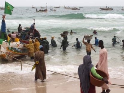 Fishing boats unload their catches in the Mauritanian capital of Nouakchott.