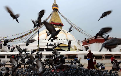 Un monje budista da de comer a las palomas en Katmandú (Nepal).