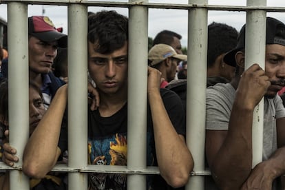 Algunos de ellos se mantienen pegados a la reja esperando alguna noticia. 