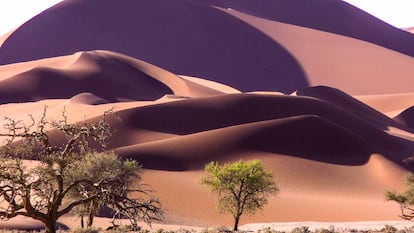 Dunas gigantes rojas en el desierto del Namib, el que da nombre a Namibia.