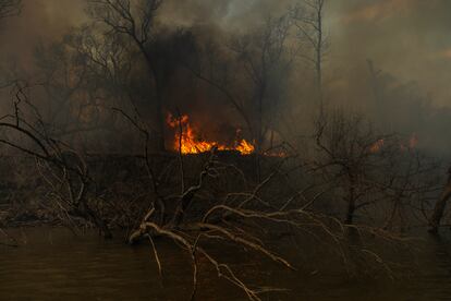 O fogo destruindo tudo em seu caminho, em Boca de la Milonga. Em 2020, o delta do Paraná sofreu os piores incêndios em mais de uma década, em sua maioria causados por ação humana. O Governo anunciou que vai reforçar o controle nos próximos meses para evitar que a tragédia ambiental se repita.