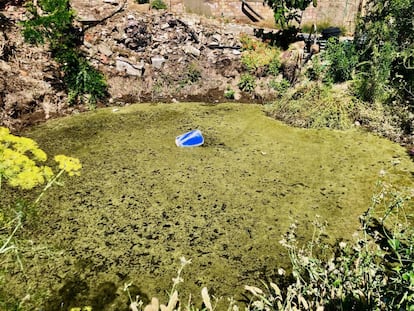 El famoso tollo, balsa de agua salobre horadado en el navazo. El flotador azul pensado para sostener la bomba de extracción / Capel