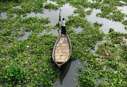 Un barquero de Bangladesh atraviesa el río Buriganga lleno de plantas de jacinto.