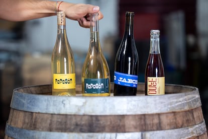 Cuatro botellas de vino de Samuel Párraga.