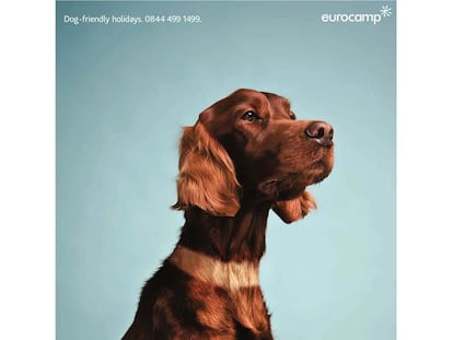 Eurocamp