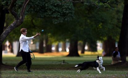 Una mujer juega con una pelota con su mascota en un parque en Buenos Aires (Argentina), el 8 de diciembre de 2017.