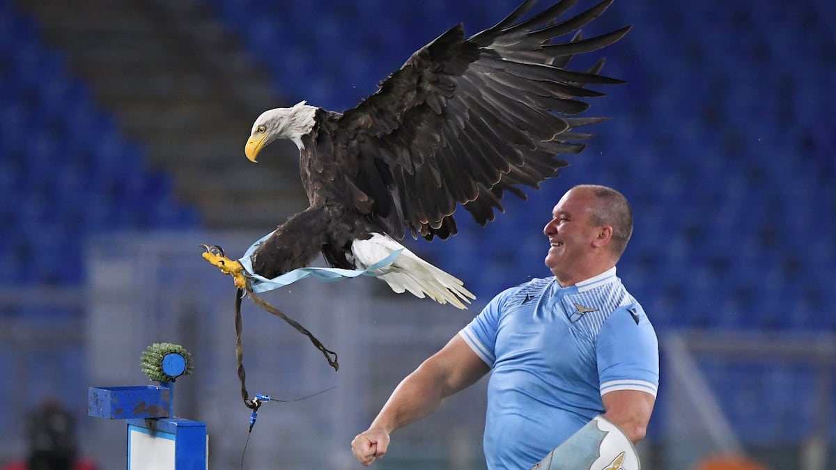 Lazio fires the Spanish falconer who displays the club’s eagle for showing his new penis on social networks