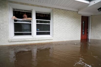 Obrad Gavrilovic mira por la ventana de su casa inundada, mientras considera si irse con su esposa y sus mascotas, mientras aumentan las aguas en Bolivia (Carolina del Norte), el 15 de septiembre.