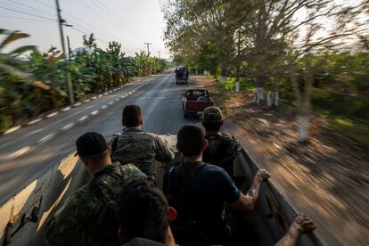 Miembros de las autodefensas de Coahuayana se desplazan entre los platanales del municipio. 