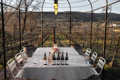 Merendero preparado para cata en los Viñedos de la bodega El Huerto de La Duquesa, en Ronda, España.