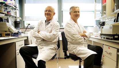 Los hermanos Vi&ntilde;a en uno de los laboratorios de la Facultad de Medicina de Valencia.