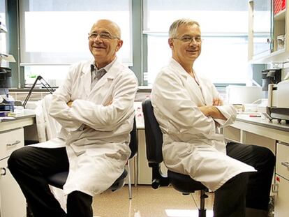 Los hermanos Vi&ntilde;a en uno de los laboratorios de la Facultad de Medicina de Valencia.